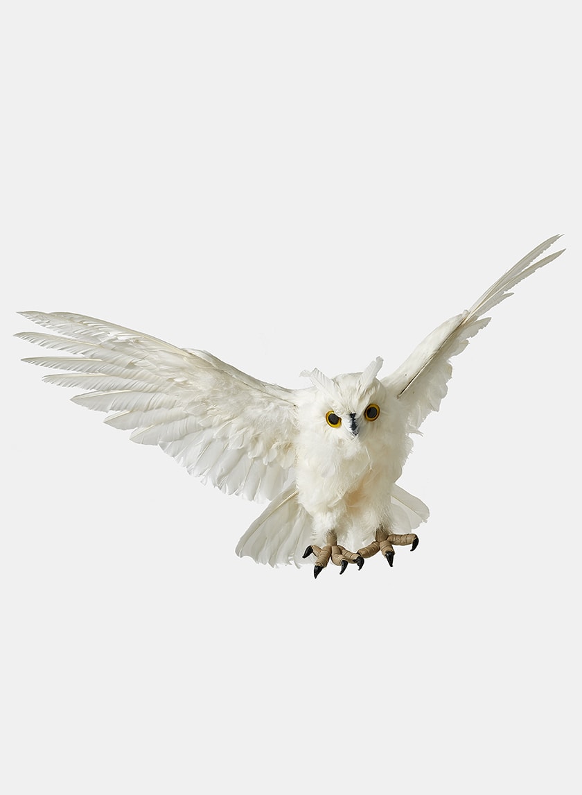 18in Long Flying White Owl Decor Jamaligarden