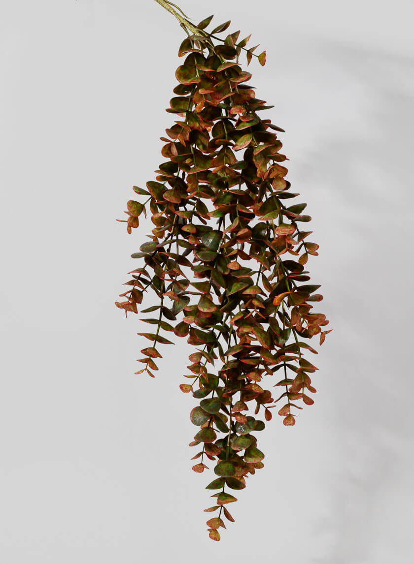 30in Long Fall Eucalyptus Hanging Decor Jamaligarden