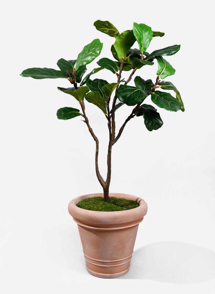 Impruneta Rolled Rim Planter Decor Jamaligarden