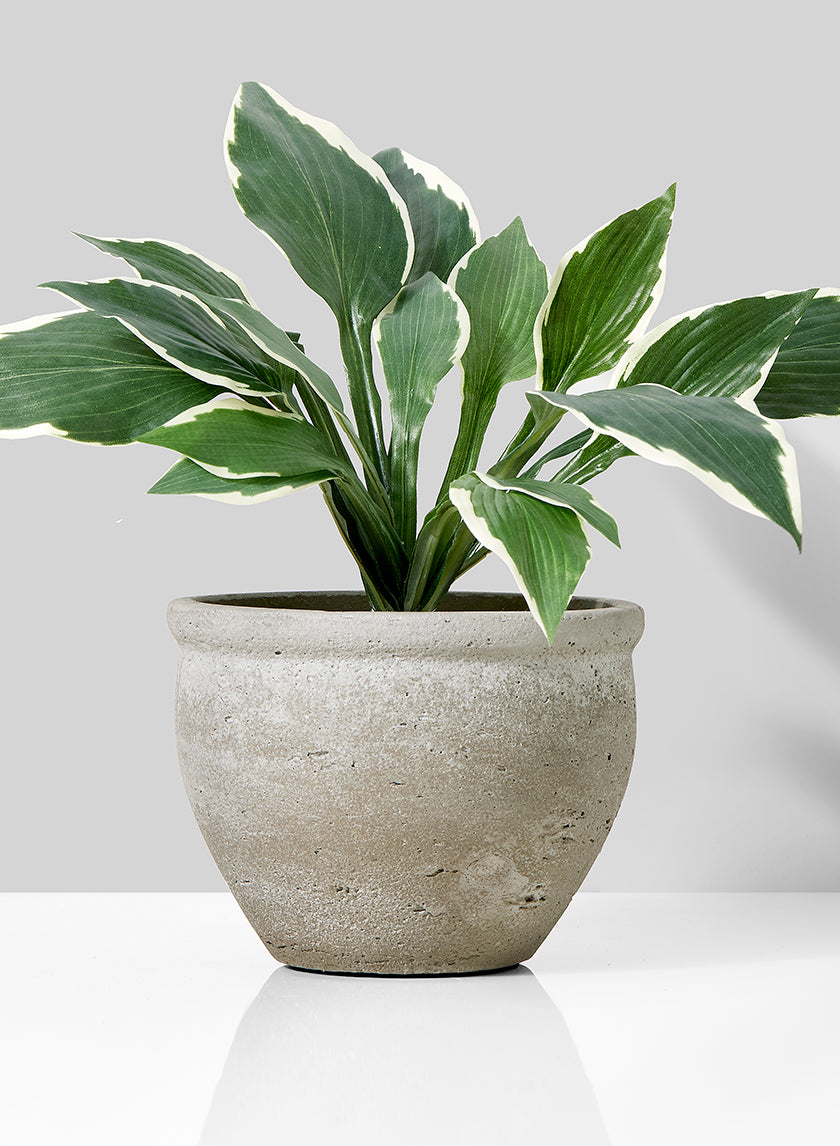 Natural Cement Fishbowl Pot Decor Jamaligarden