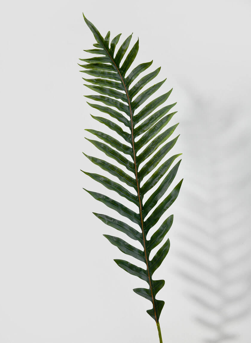 56in Long Fishtail Fern Leaf Decor Jamaligarden