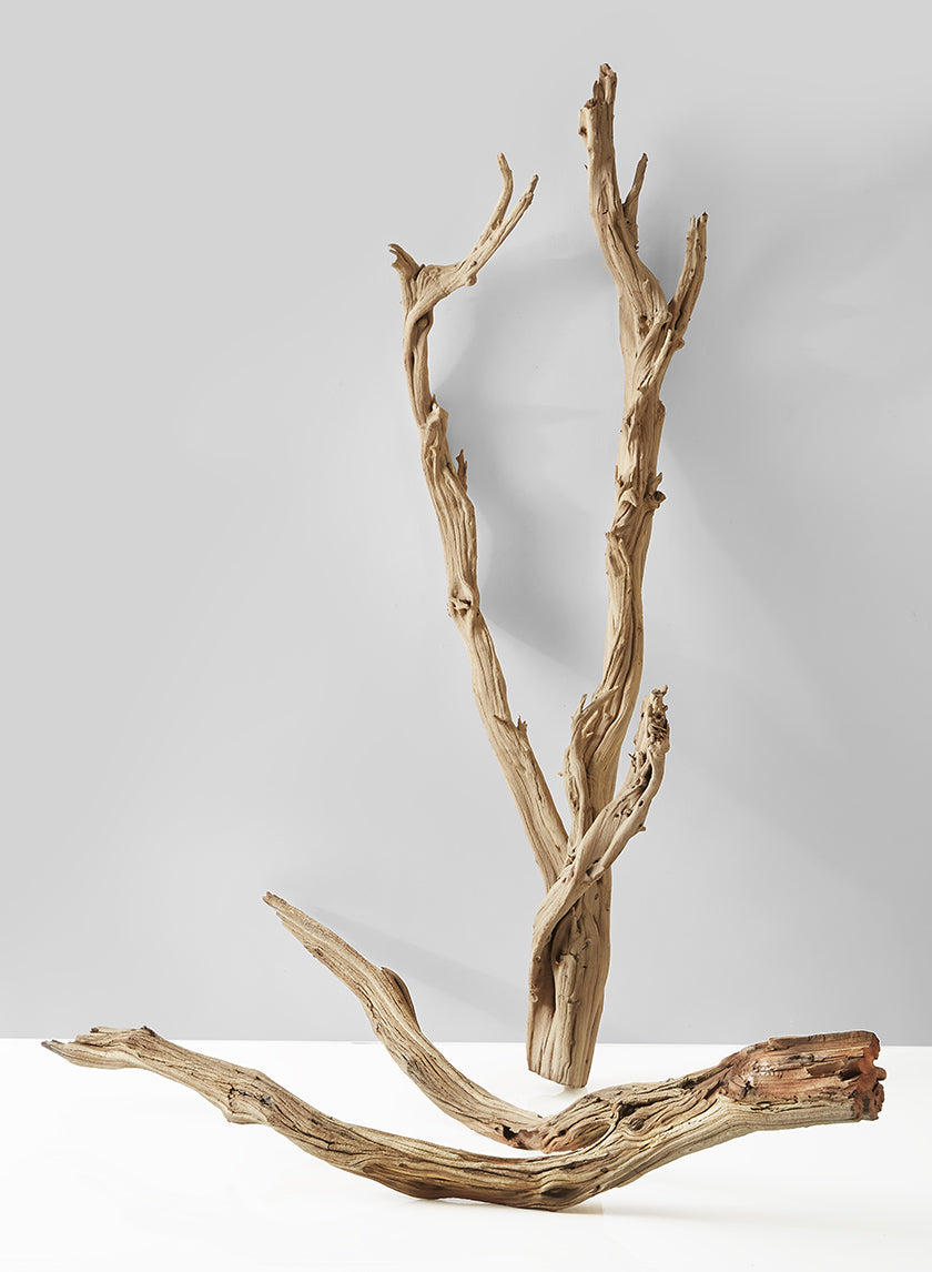 Sanded Ghostwood Branch Decor Jamaligarden
