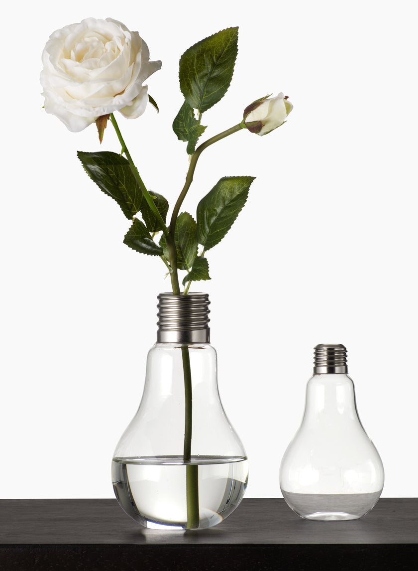 Glass Light Bulb Vases Decor Jamaligarden