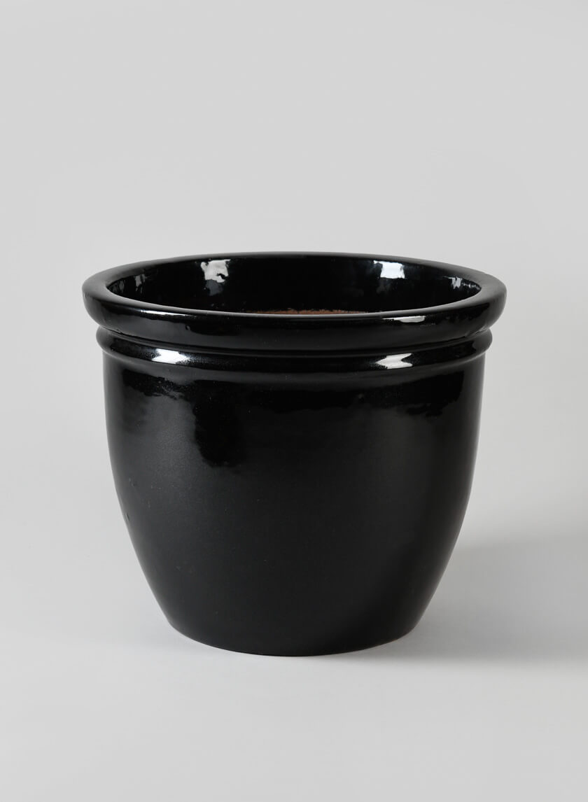Glossy Black Double Rolled Rim Pots Decor Jamaligarden