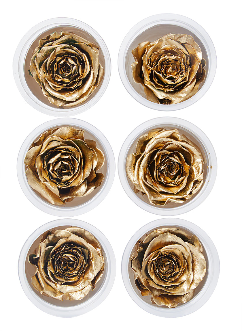 Preserved Gold Roses, Set of 6 Decor Jamaligarden