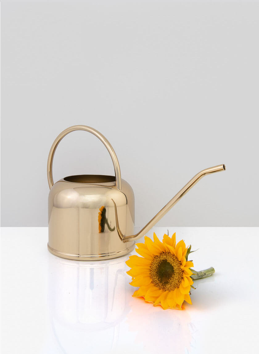 9.25in Wide Le Mans Gold Watering Can Decor Jamaligarden