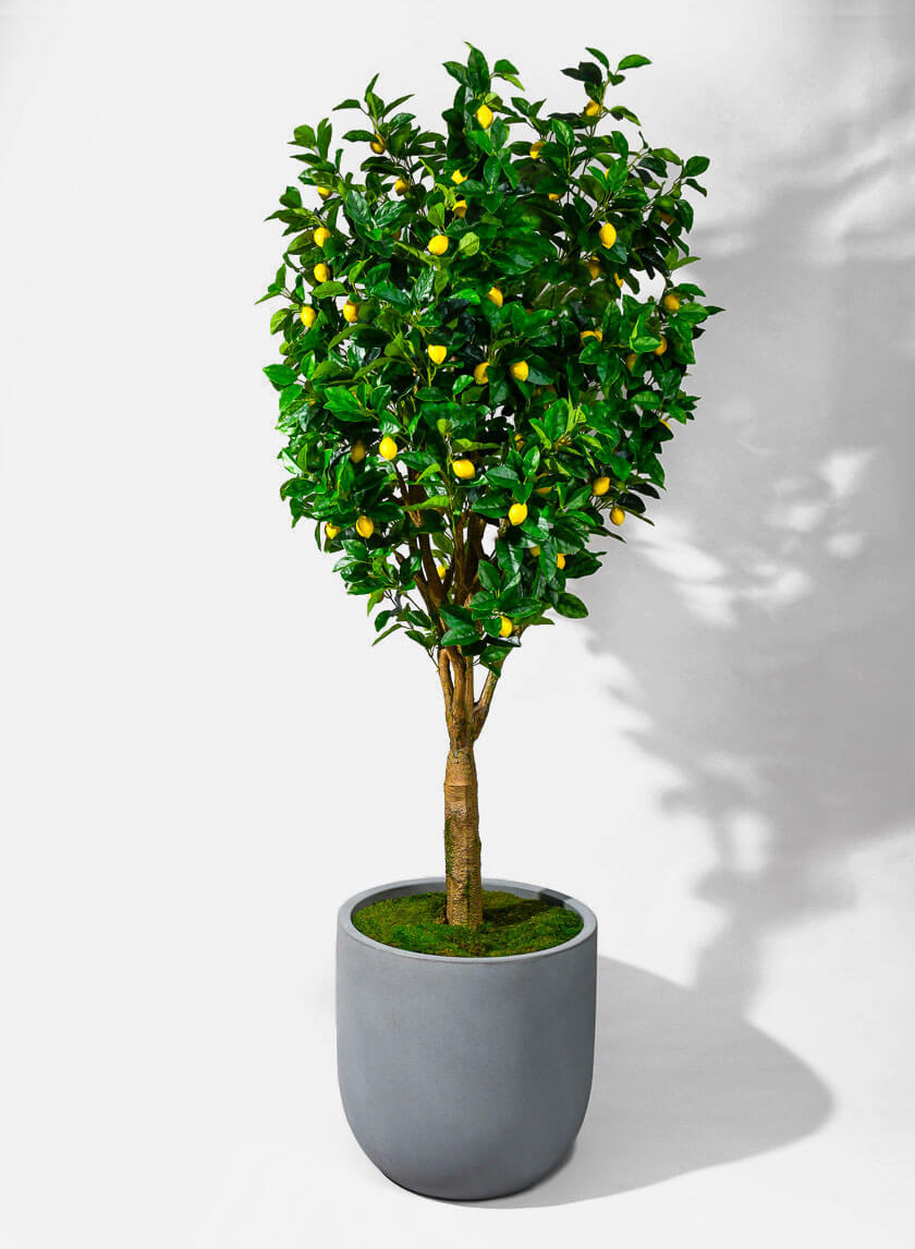 20.75in Tall Uovo Light Gray Planter Decor Jamaligarden