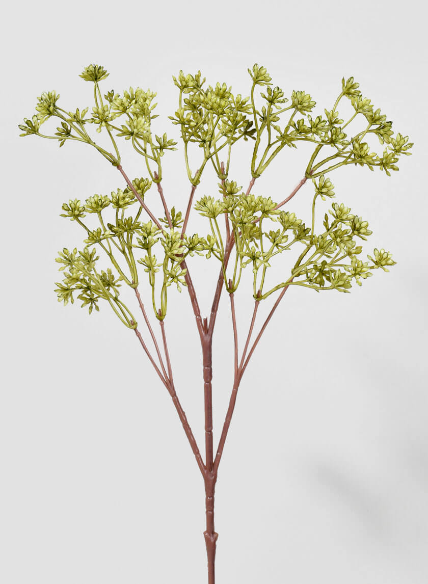 20in Long Mini Green Fennel Spray Decor Jamaligarden