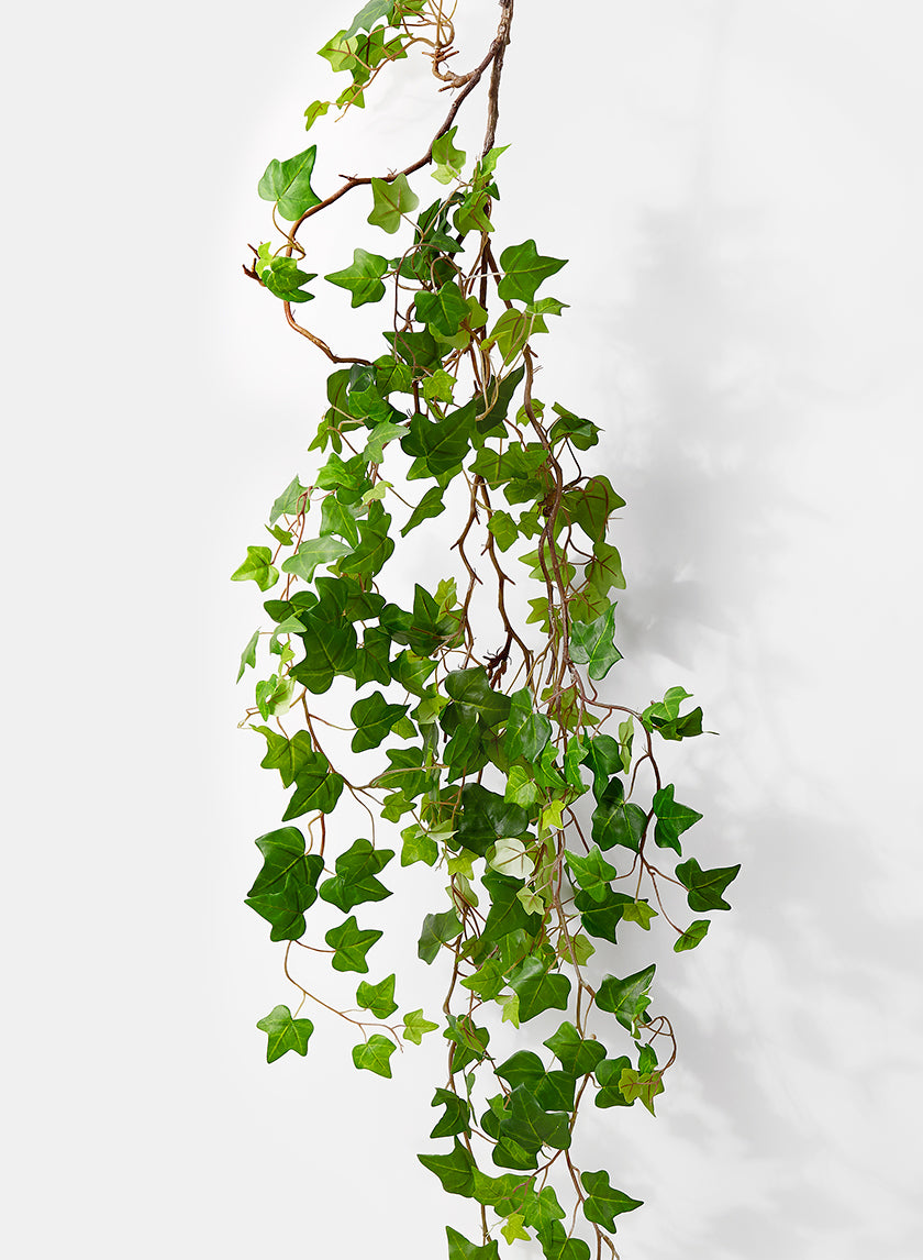 5ft Long Green Ivy Vine Decor Jamaligarden