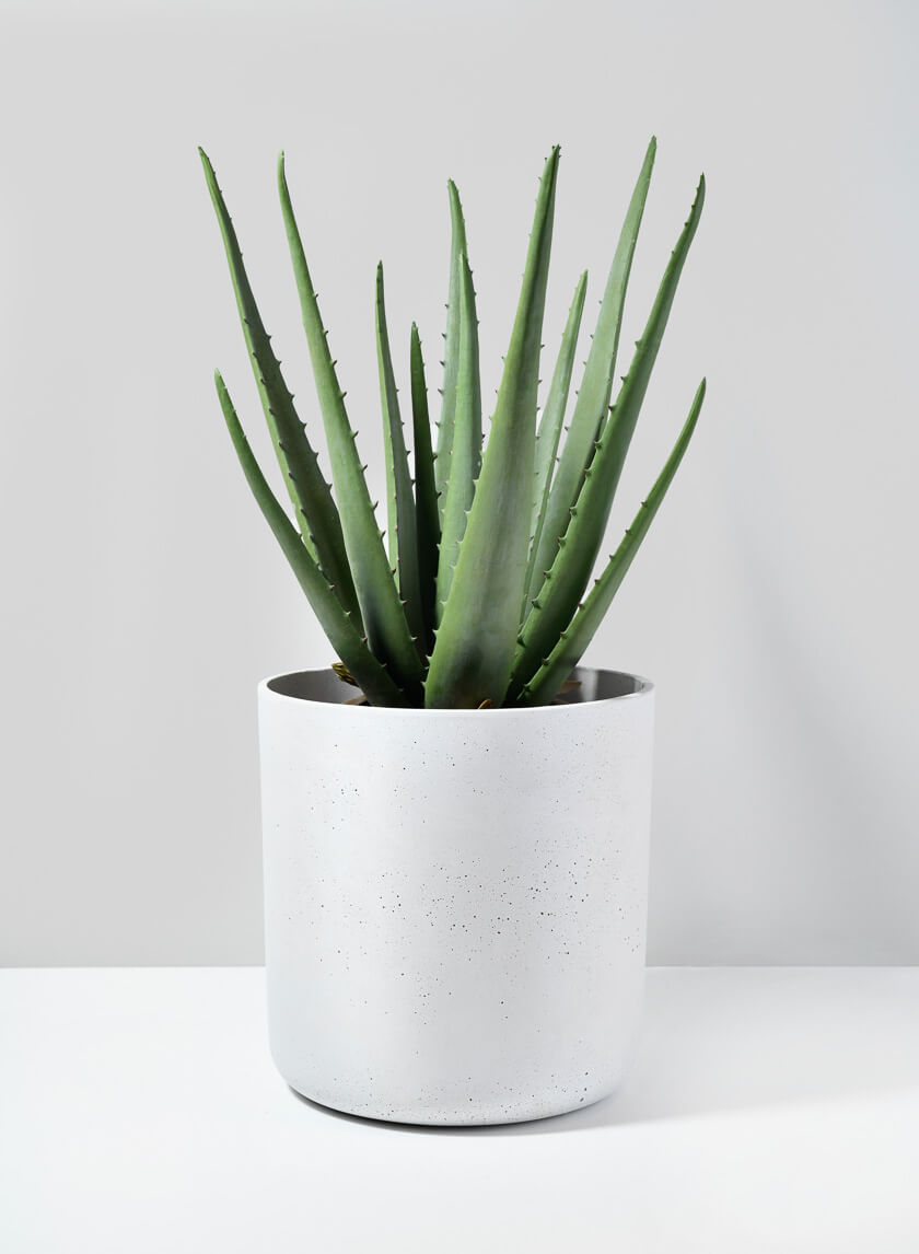White Cycl Sandstone Pots Decor Jamaligarden
