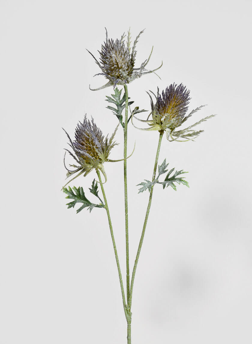 28.5in Long Large Thistle Spray Decor Jamaligarden