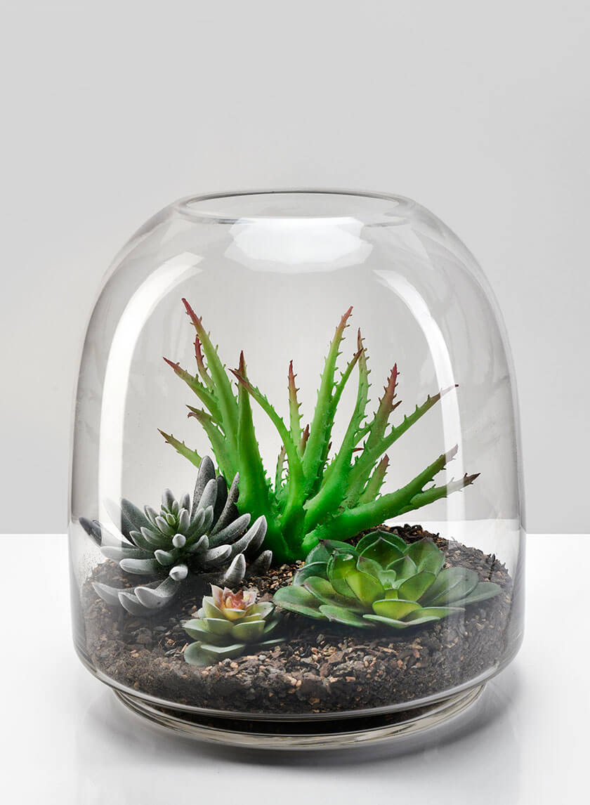 Large Victoria Glass Terrarium Decor Jamaligarden