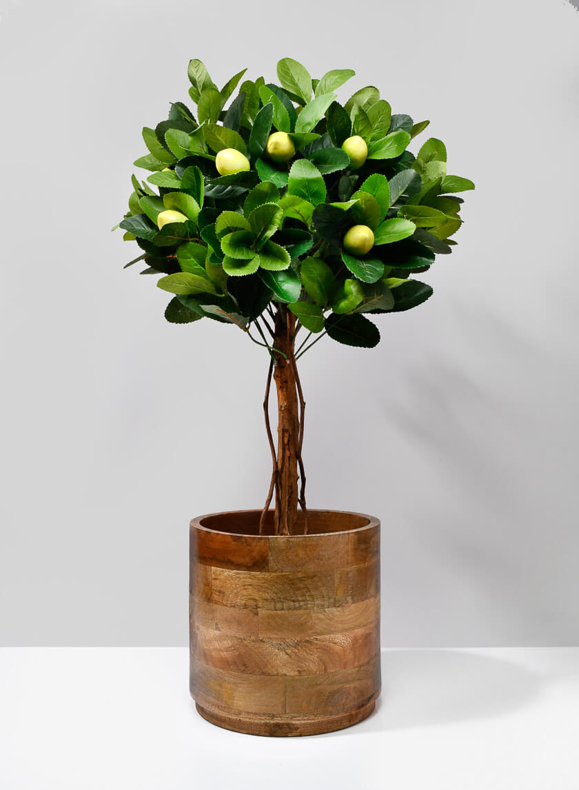 Salma Wood Cachepot Decor Jamaligarden 8.5in Tall EACH