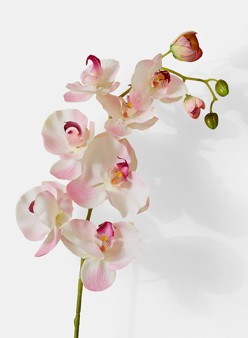 43in Long Light Pink Phalaenopsis Orchid Spray Decor Jamaligarden