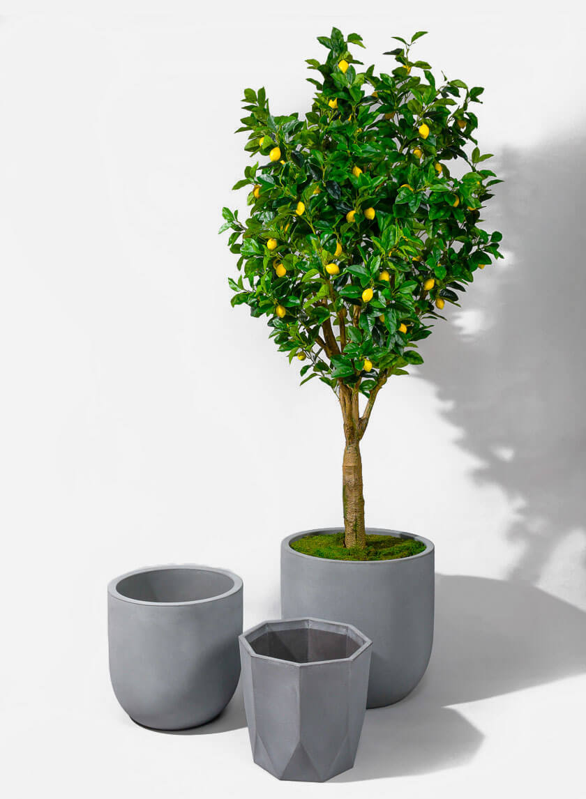 20.75in Tall Uovo Light Gray Planter Decor Jamaligarden