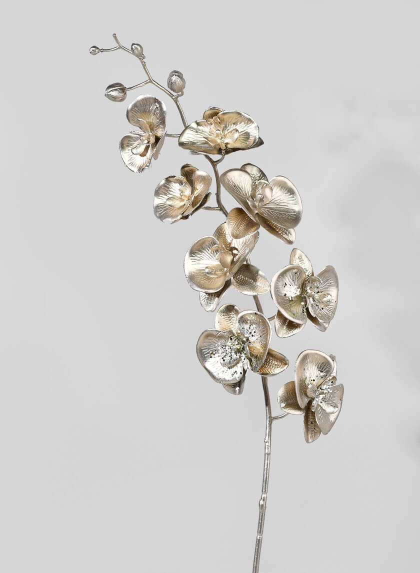 Metallc Champagne Phalaenopsis Orchid Stem Decor Jamaligarden