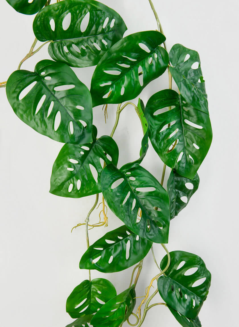 47in Long Swiss Cheese Monstera Leaf Vine Decor Jamaligarden