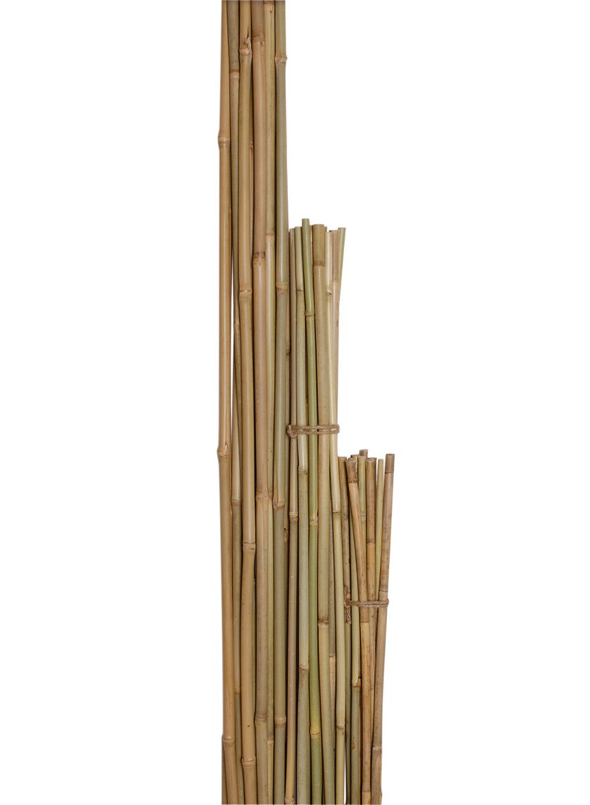 Skinny Natural Bamboo Stakes Decor Jamaligarden