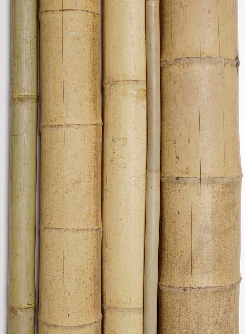 Wide Natural Bamboo Stakes Decor Jamaligarden