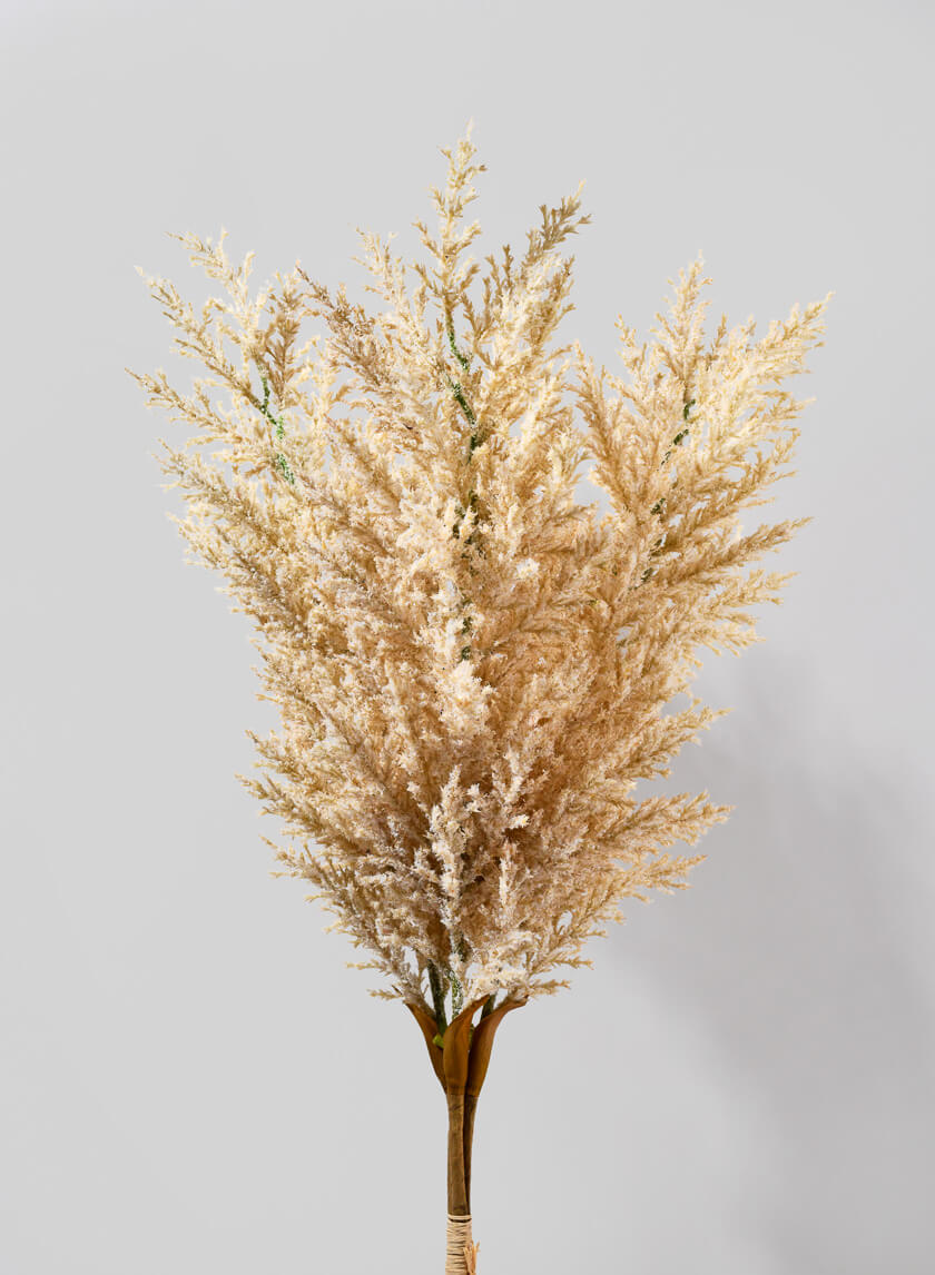 35in Long Natural Pampas Grass Reeds Decor Jamaligarden