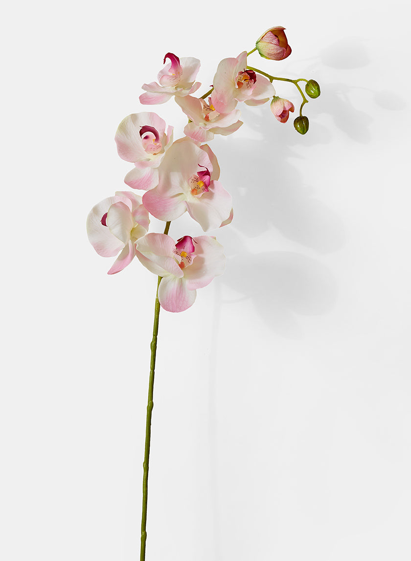 43in Long Light Pink Phalaenopsis Orchid Spray Decor Jamaligarden