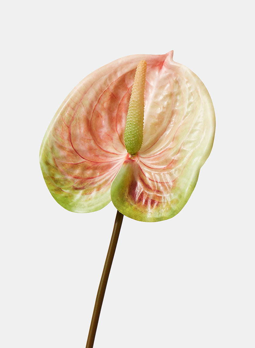 22in Long Peach &amp; Green Anthurium Spray Decor Jamaligarden