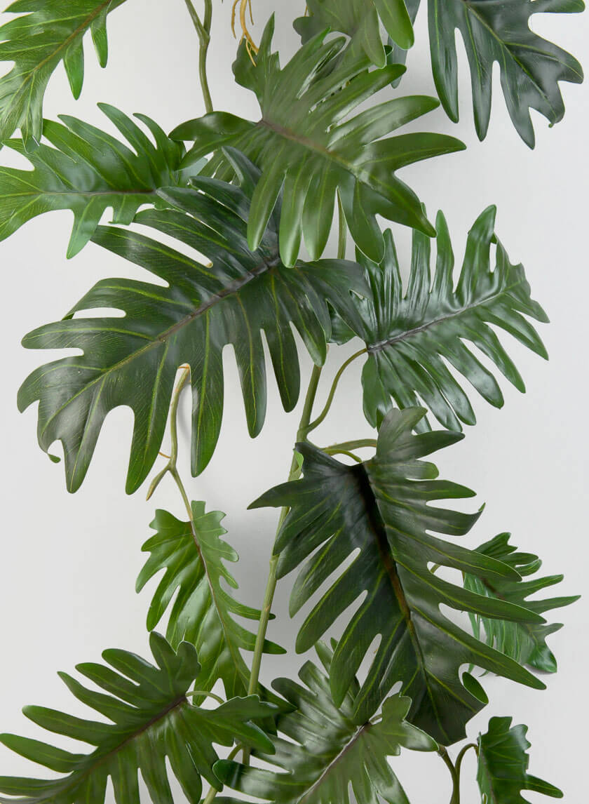 41in Long Philodendron Vine Decor Jamaligarden