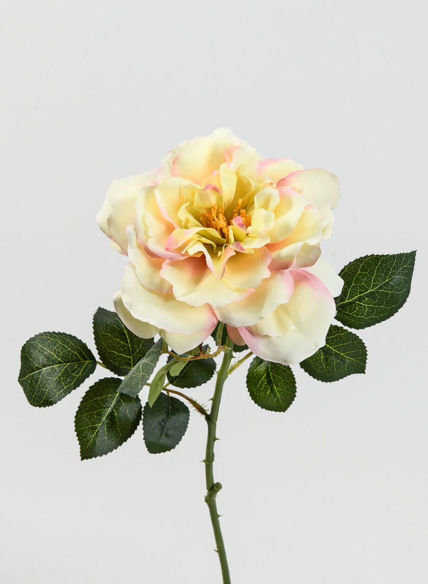 24.5in Long Pink & Cream Provence Rose Spray Decor Jamaligarden