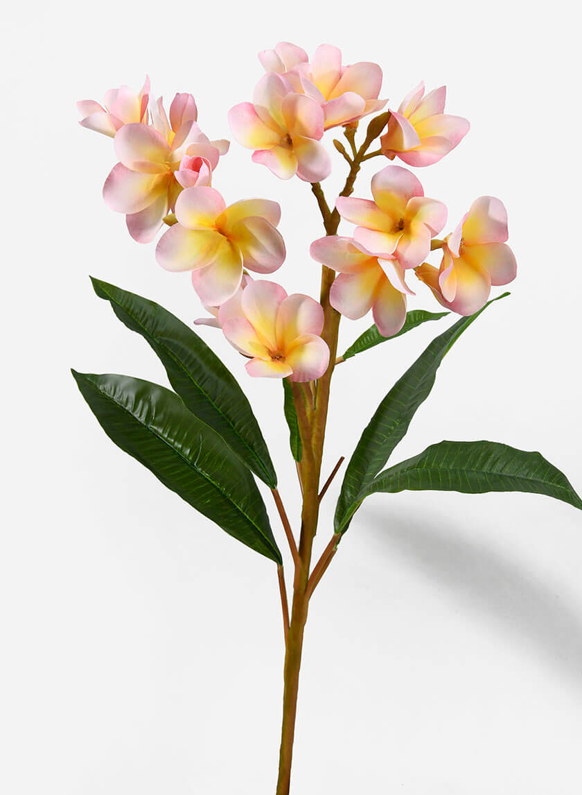 35in Long Pink Frangipani Spray Decor Jamaligarden