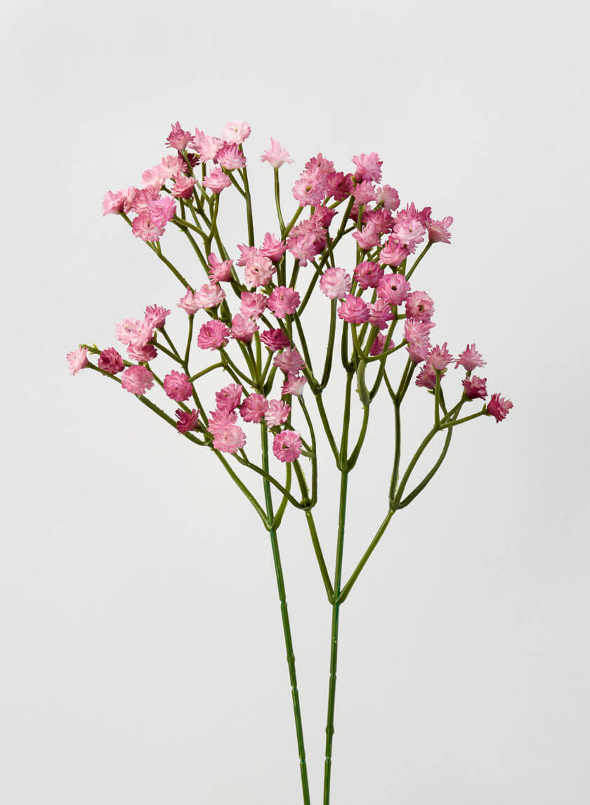 16in Long Blush Gypsophila Spray Decor Jamaligarden