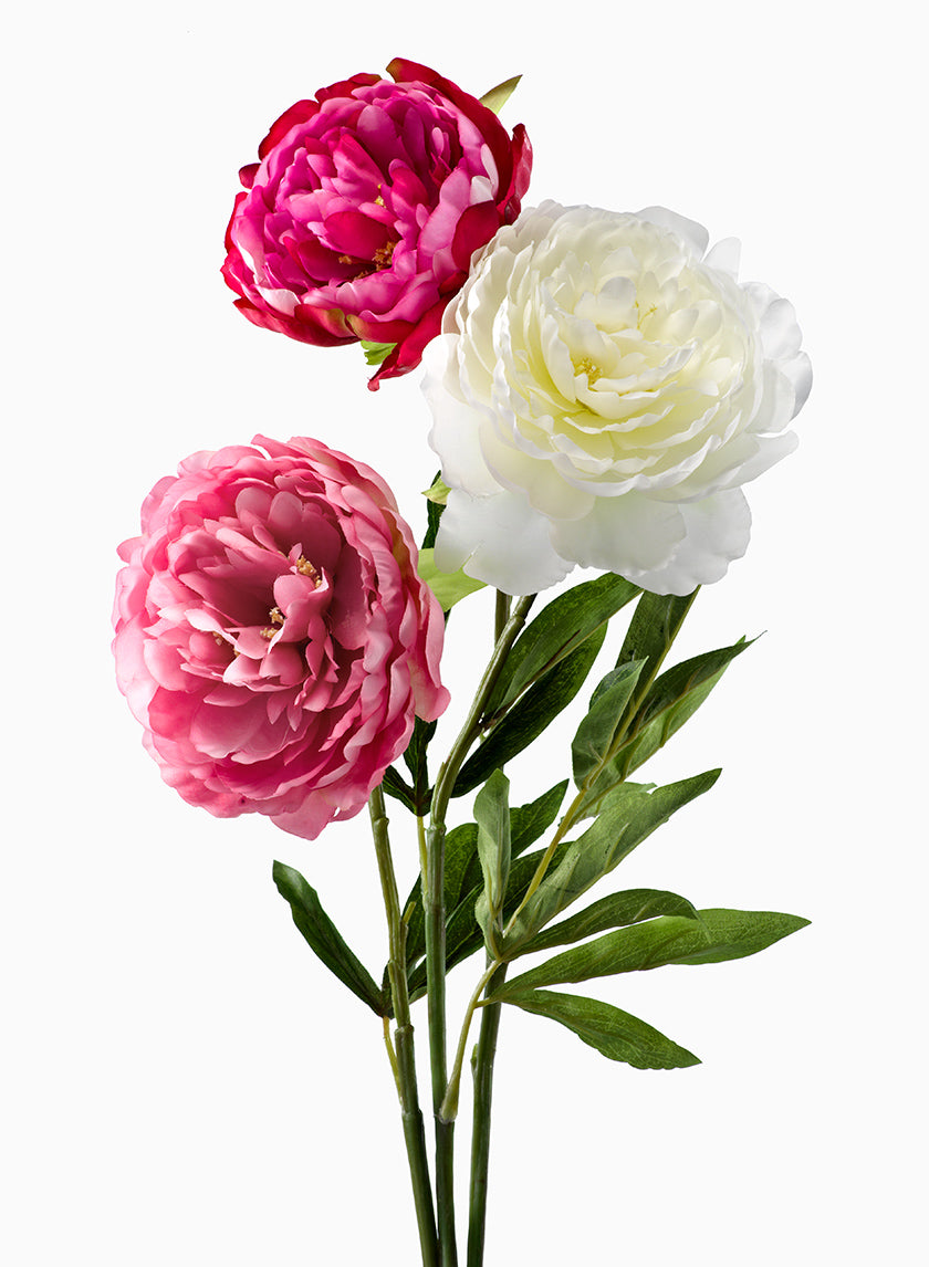 Light Pink, Magenta, & White Peonies Decor Jamaligarden
