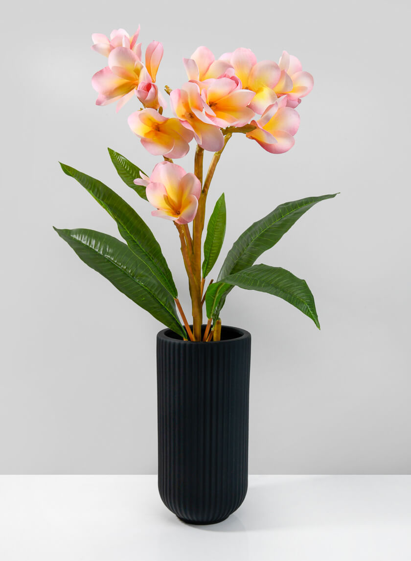 9.5in Tall Oslo Black Vase, Medium Decor Jamaligarden