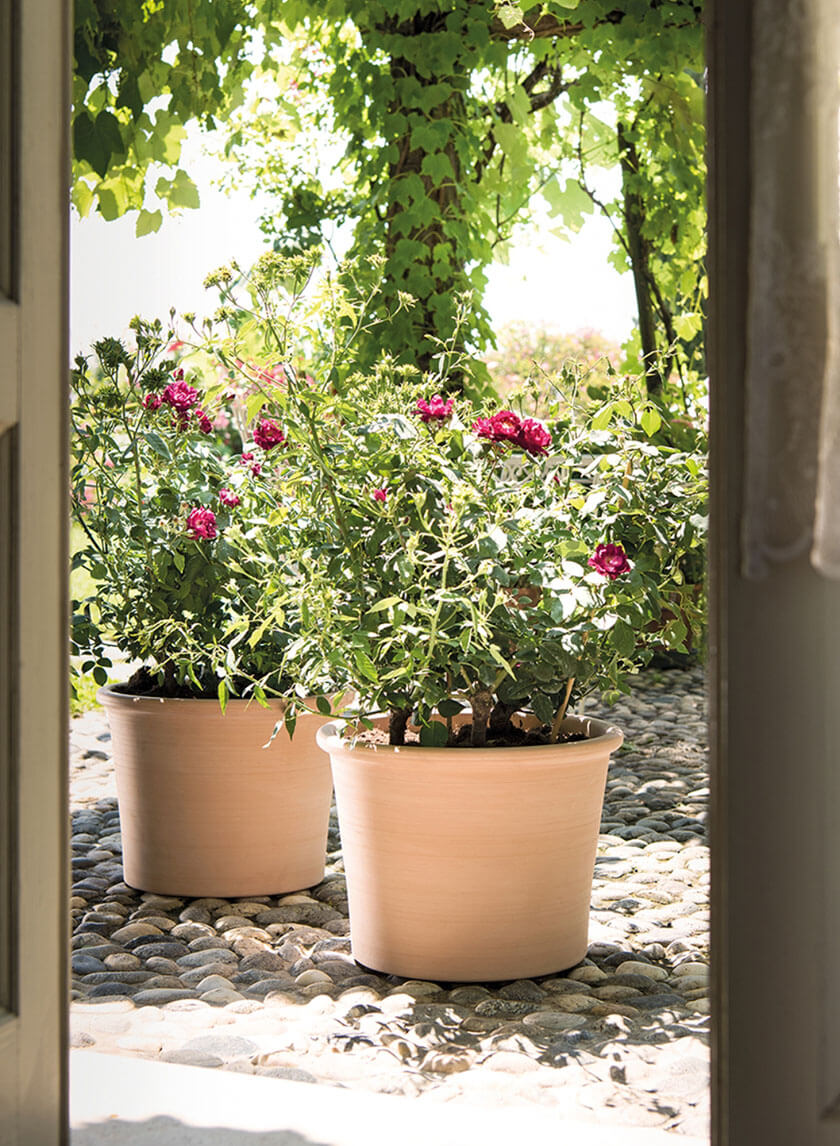 Bordato Primitivo Cylinder Pot Decor Jamaligarden 11.5in Tall EACH