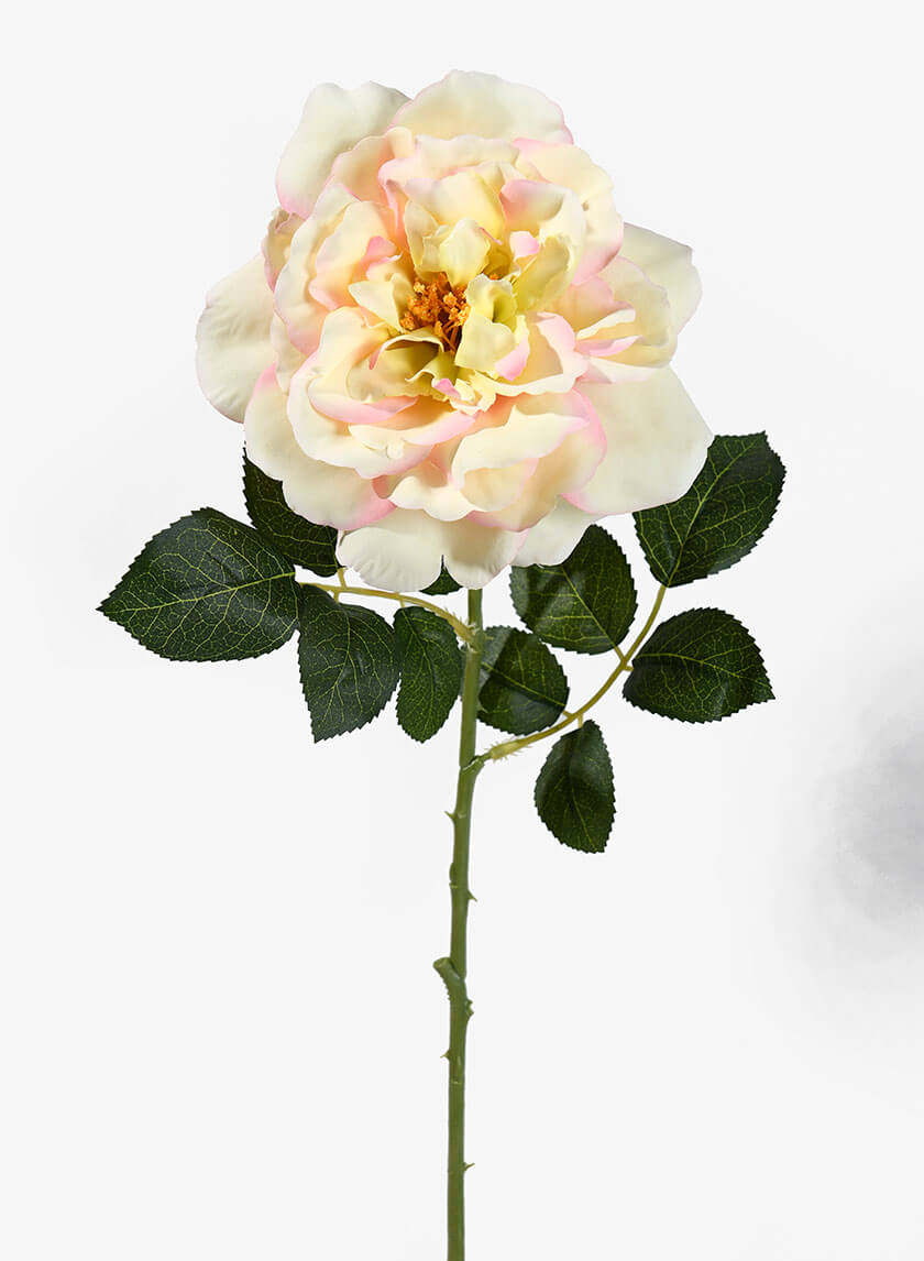 24.5in Long Pink &amp; Cream Provence Rose Spray Decor Jamaligarden
