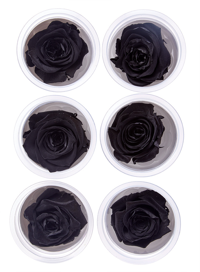 Preserved Luxurious Black Rose, Set of 6 Decor Jamaligarden
