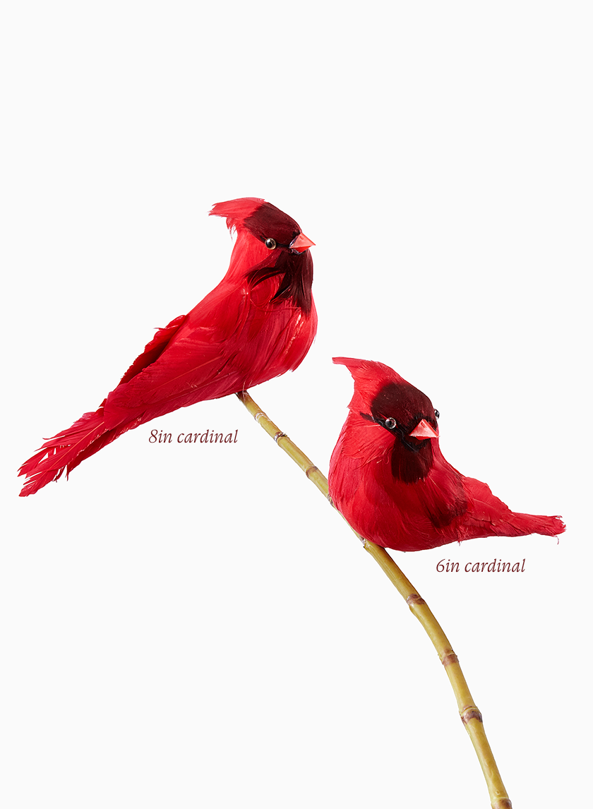 Cardinals Decor Jamaligarden