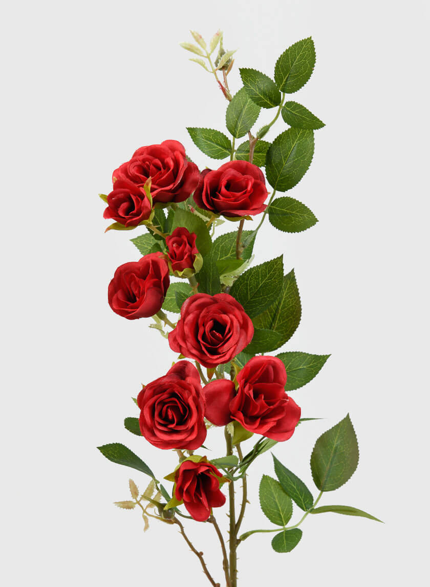32in Long Red Old China Monthly Rose Decor Jamaligarden