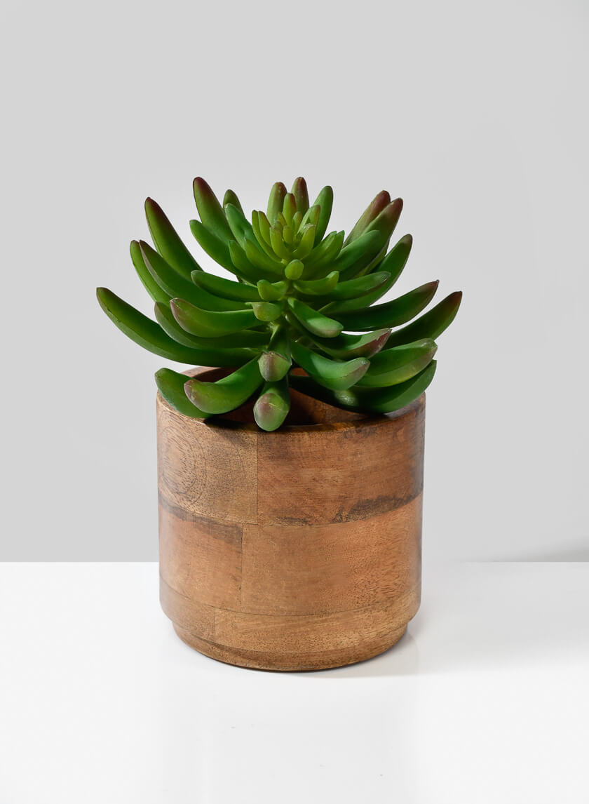 Salma Wood Cachepot Decor Jamaligarden 4.5in Tall EACH