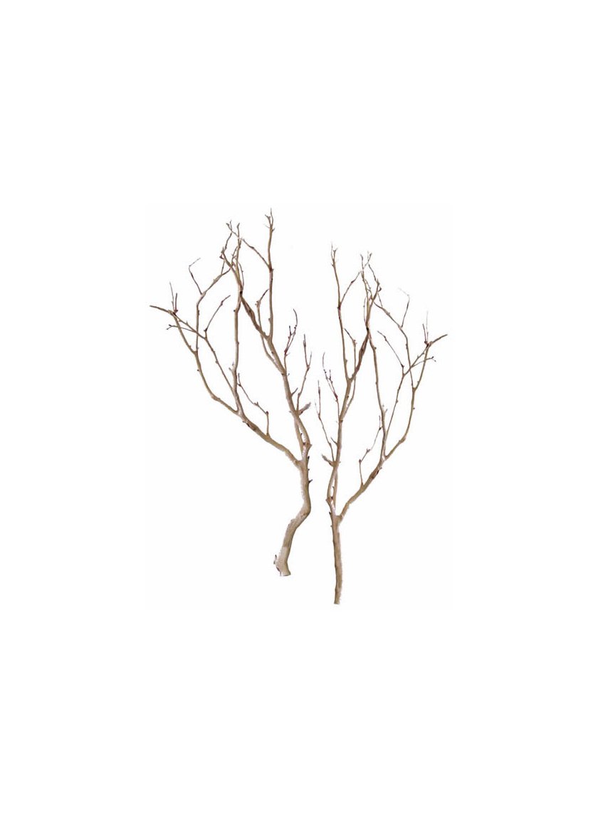 Sanded Ghostwood Branch Decor Jamaligarden
