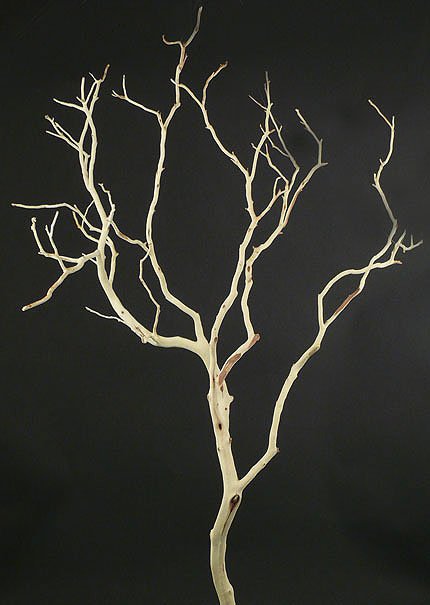 2ft &amp; 3ft Sanded Manzanita Branches Decor Jamaligarden