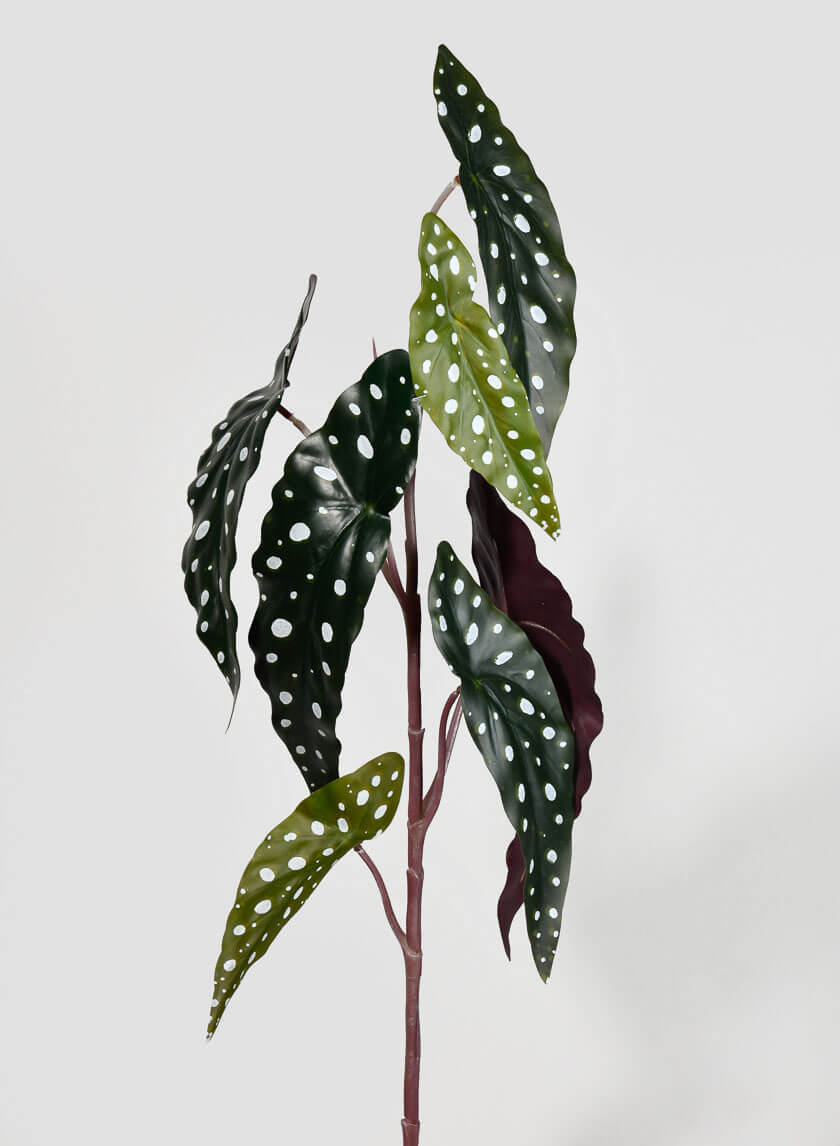 38in Long Scarlet Begonia Leaf Spray Decor Jamaligarden