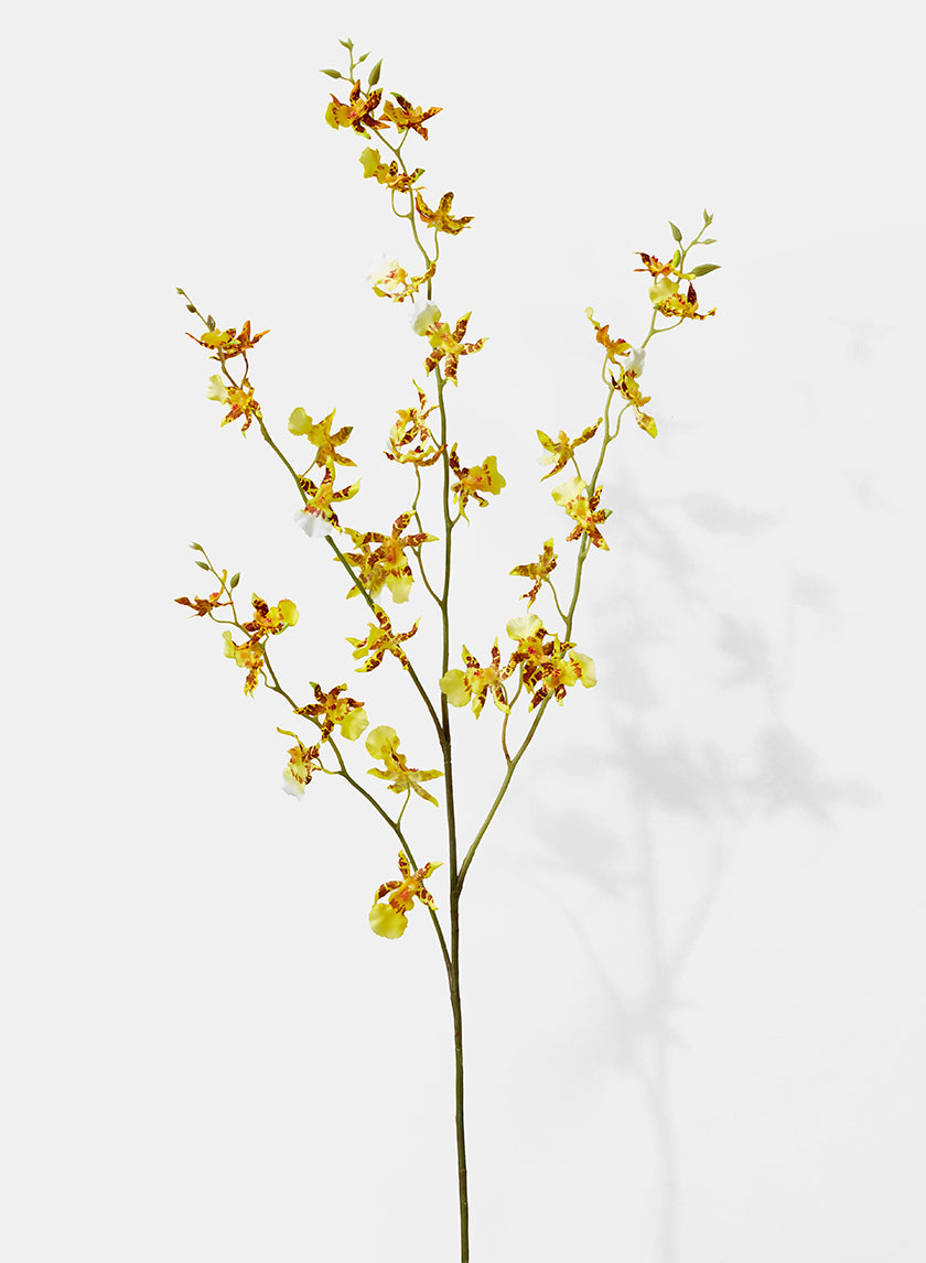 42in Long Tiger Orchid Spray Decor Jamaligarden