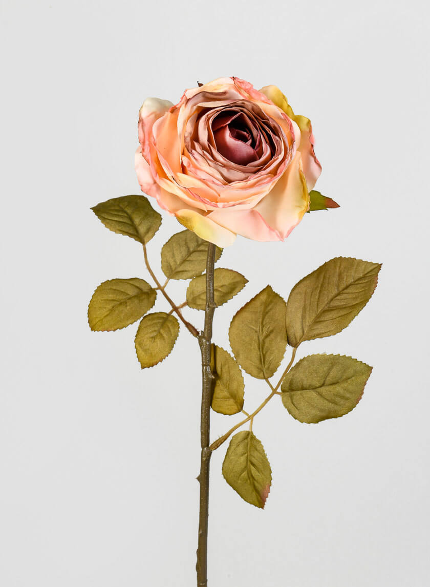 26.5in Long Peach Single Tea Rose Spray Decor Jamaligarden