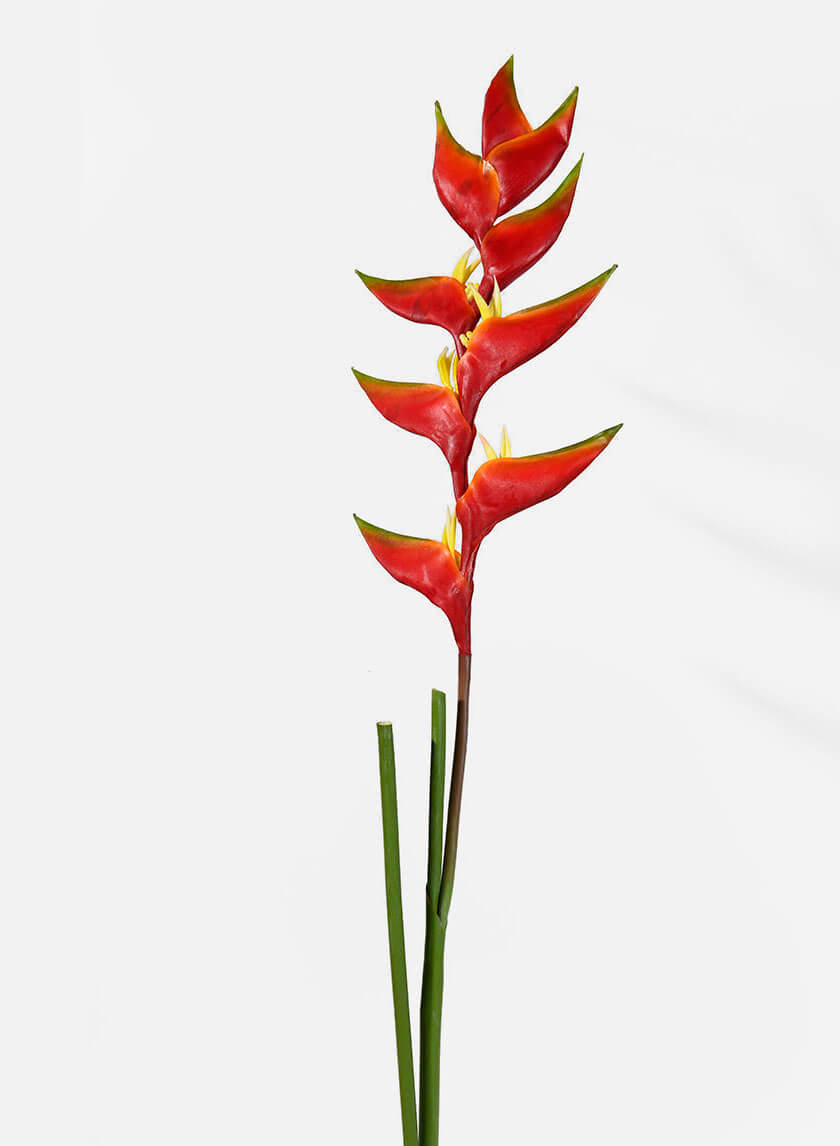 47in Long Heliconia Decor Jamaligarden