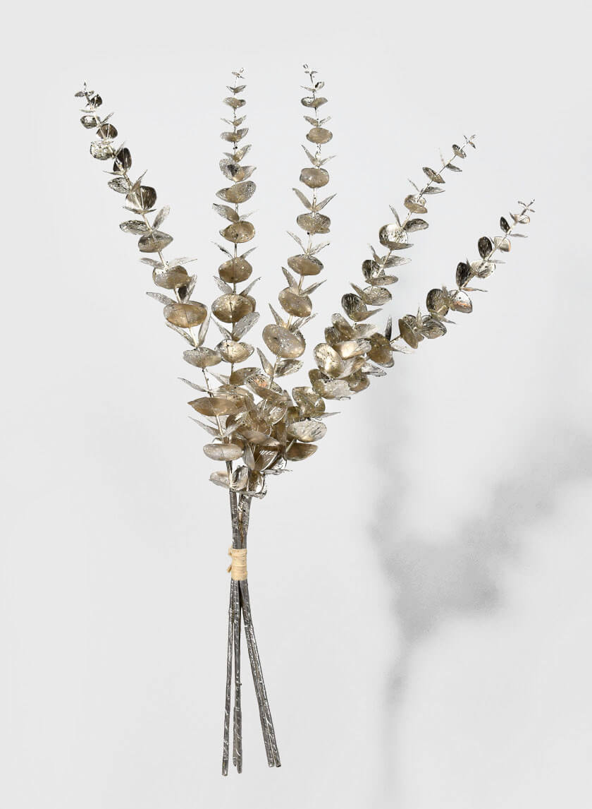 26in Long Champagne Eucalyptus Pick Decor Jamaligarden