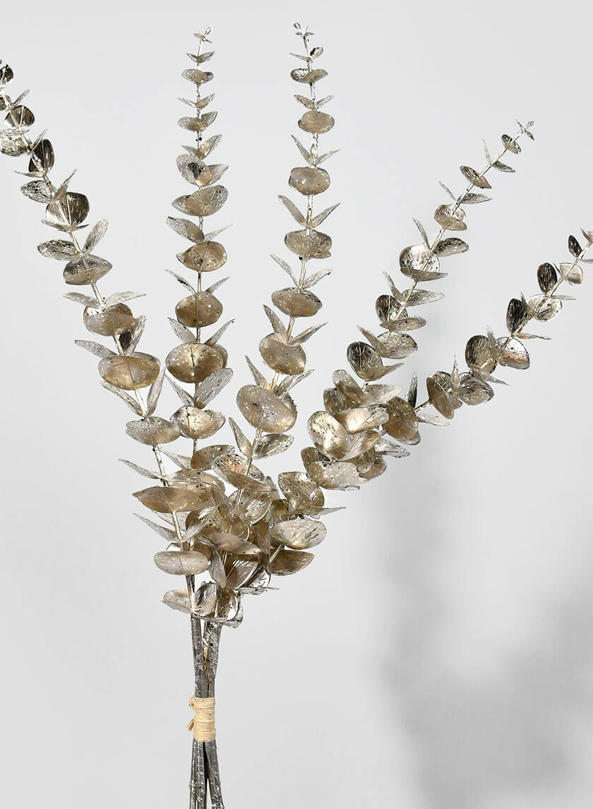 26in Long Champagne Eucalyptus Pick Decor Jamaligarden
