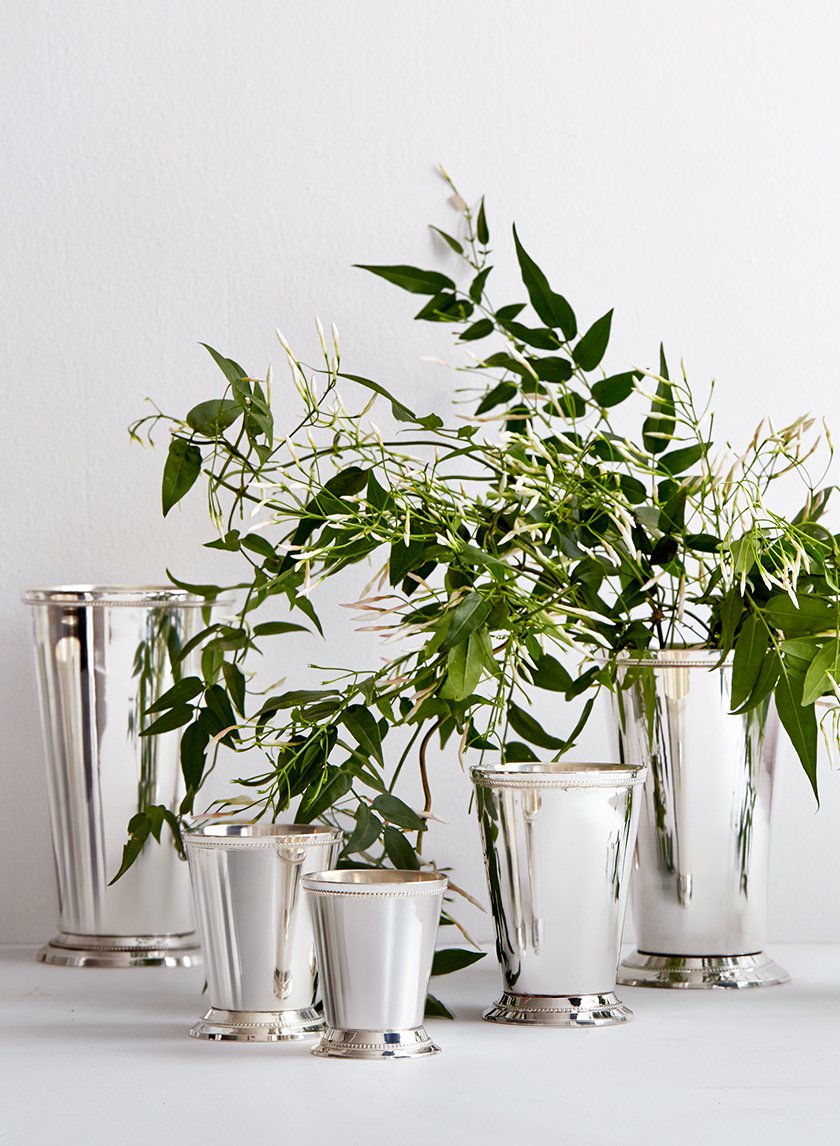 Silver Julep Cup Vases Decor Jamaligarden