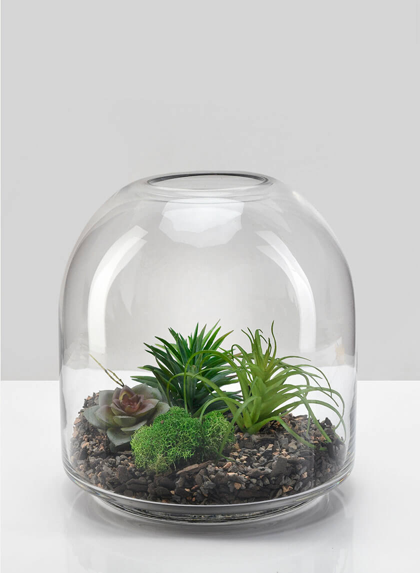 7.75in Tall Victoria Glass Terrarium, Small Decor Jamaligarden