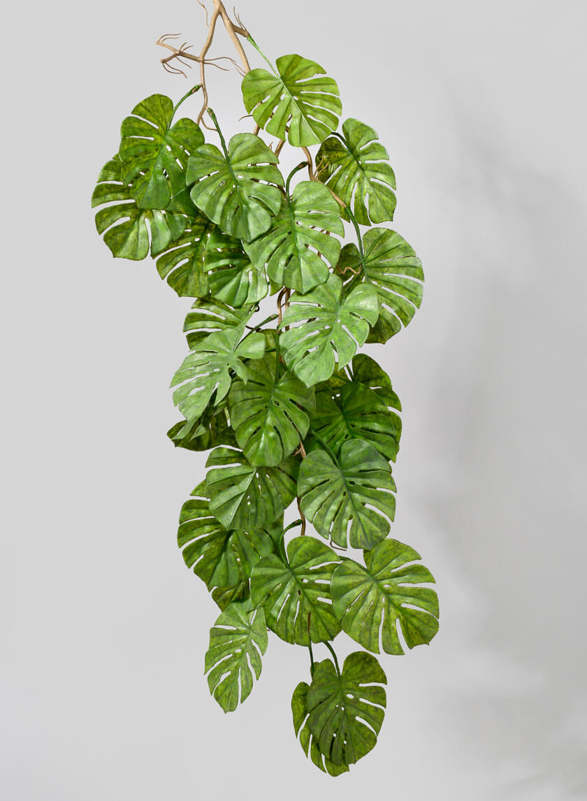 38in Long Split Leaf Philodendron Garland Decor Jamaligarden