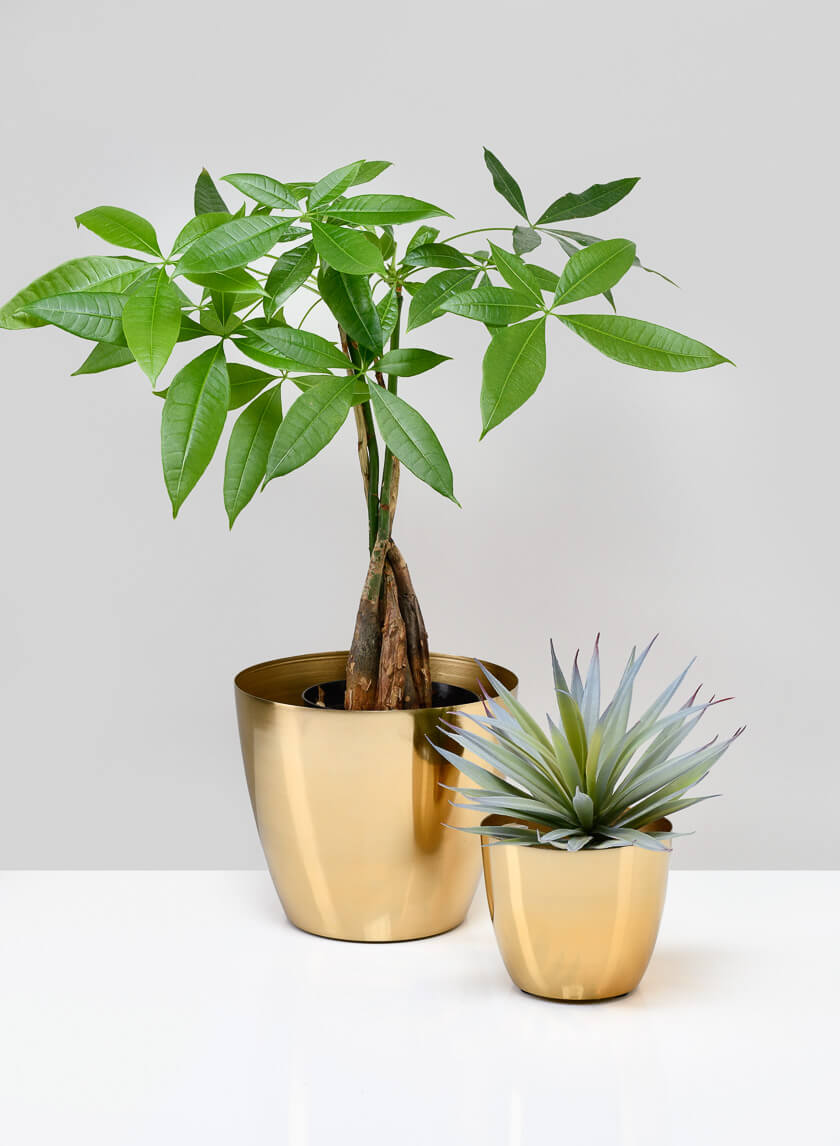 6.5in Wide Gold Elegance Cachepot Decor Jamaligarden
